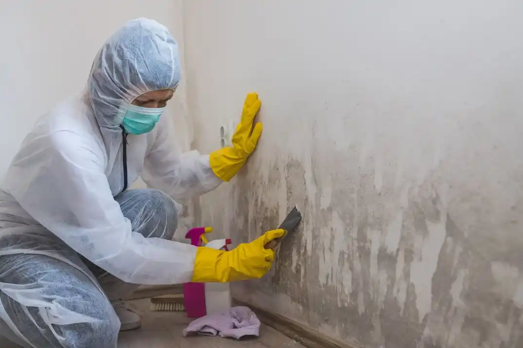 water damage restoration service Greenville Loop